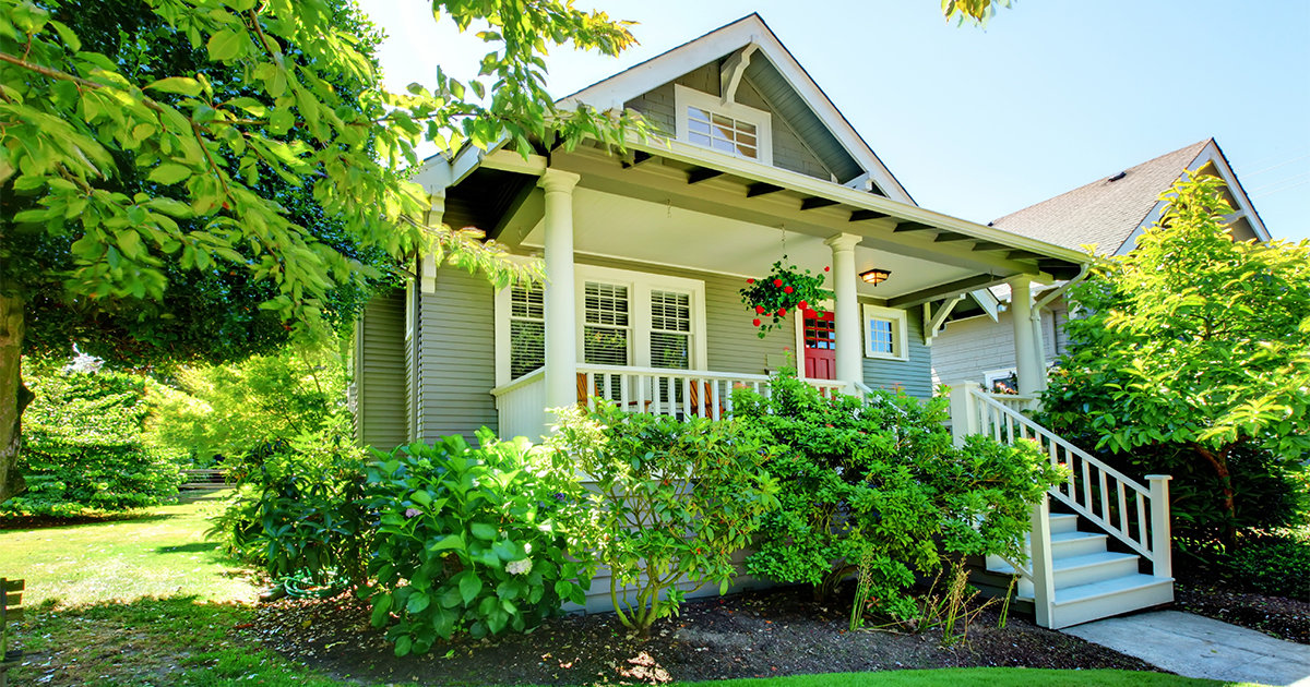 Small house front yard with lots of plants